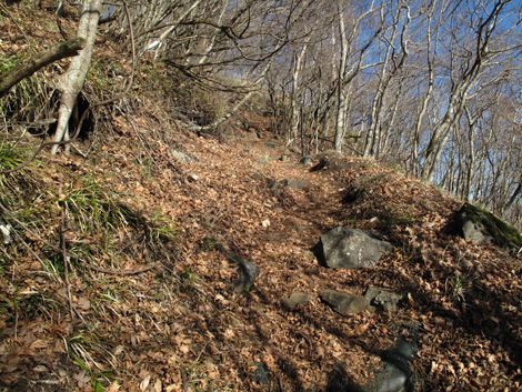 20171207hike (60)